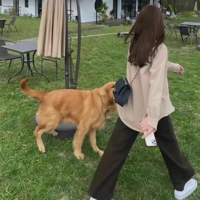半妖倾城2